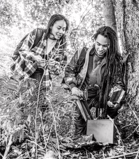 Two people near a tree searching for a geocache.